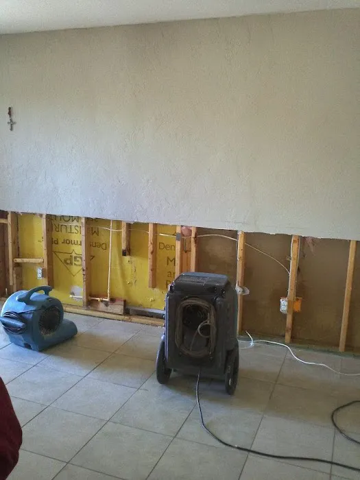 Bella Mold Removal Picture 4