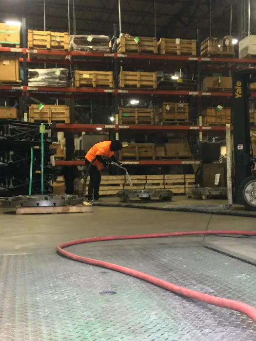 Bella Mold Removal Picture 10