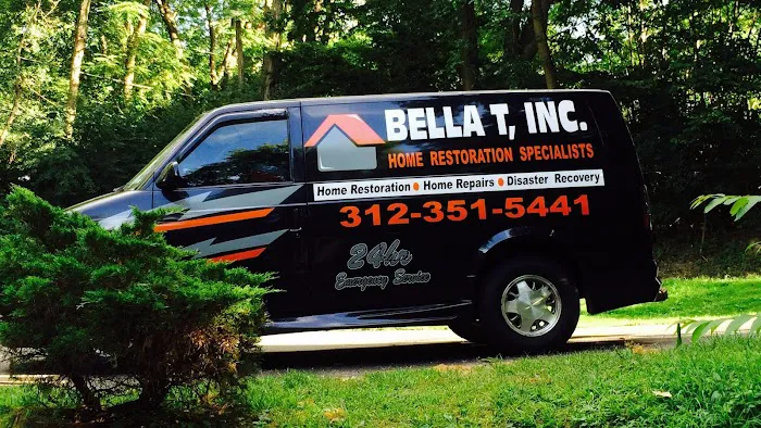 Bella Mold Removal Picture 7