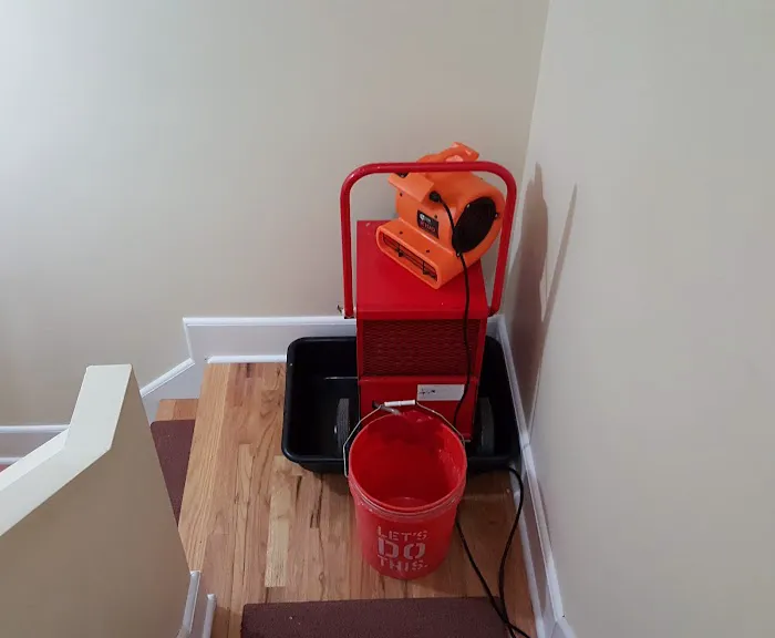 Bella Mold Removal Picture 3