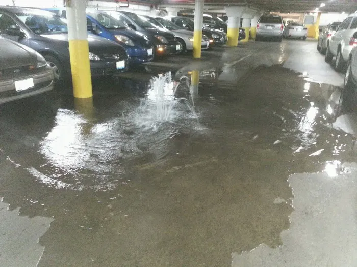 Bella Mold Removal Picture 5