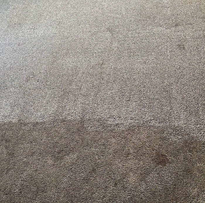 CoreClean Floor Care & Refinishing Picture 10