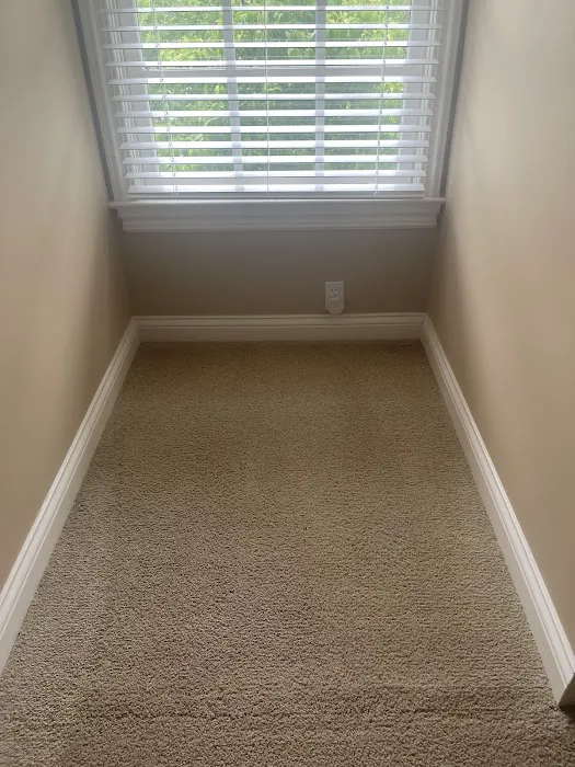 Chem-Dry of Michiana Picture 9