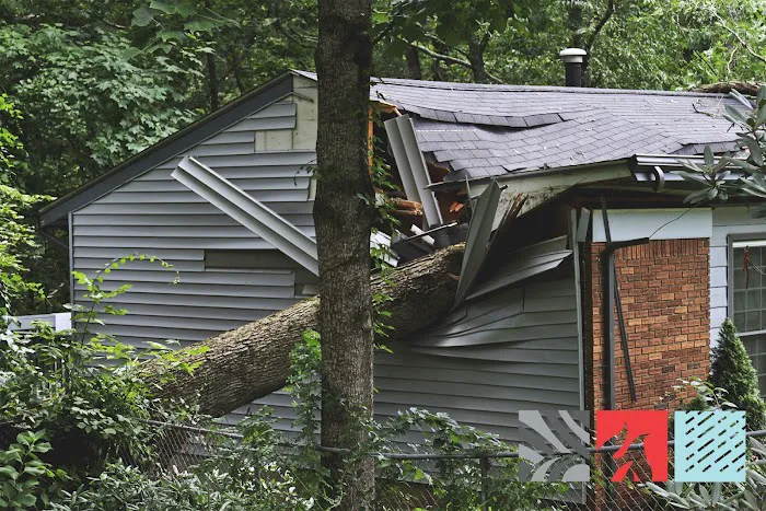 John Grace Restoration Picture 10