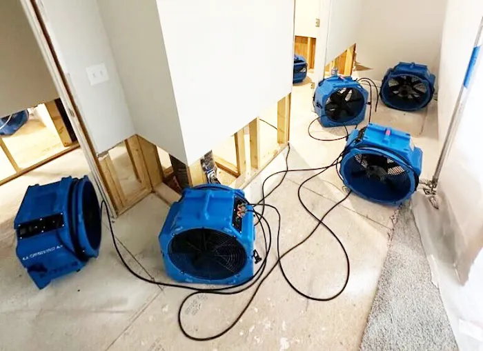 FOUR CORNERS Restoration of Michigan Picture 7