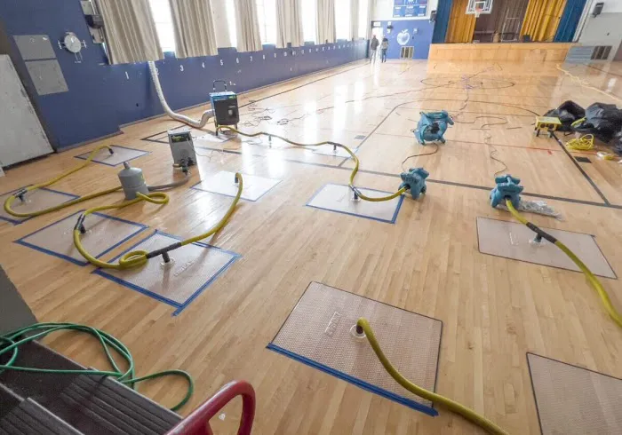 FOUR CORNERS Restoration of Michigan Picture 8