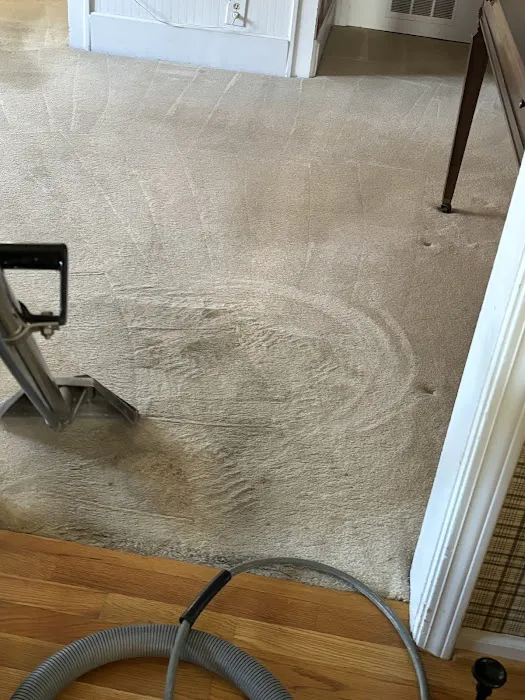 Bailtek Cleaning and Restoration Picture 10