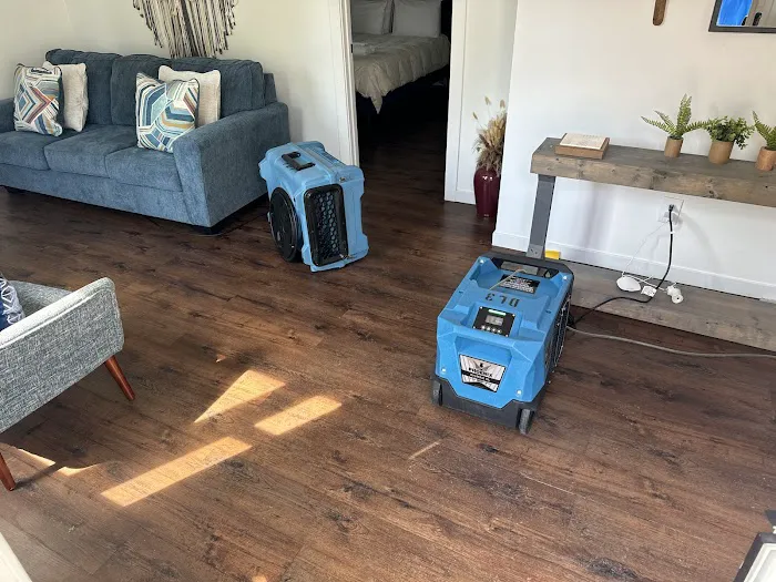 Restoration 1 of The Lakeshore Picture 10