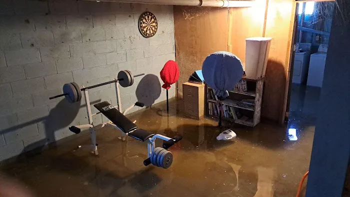 Restoration 1 of The Lakeshore Picture 6