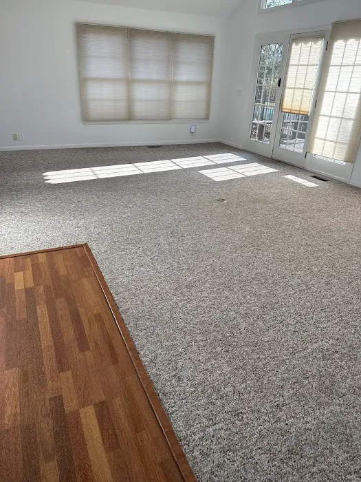 Stanley Steemer Picture 7