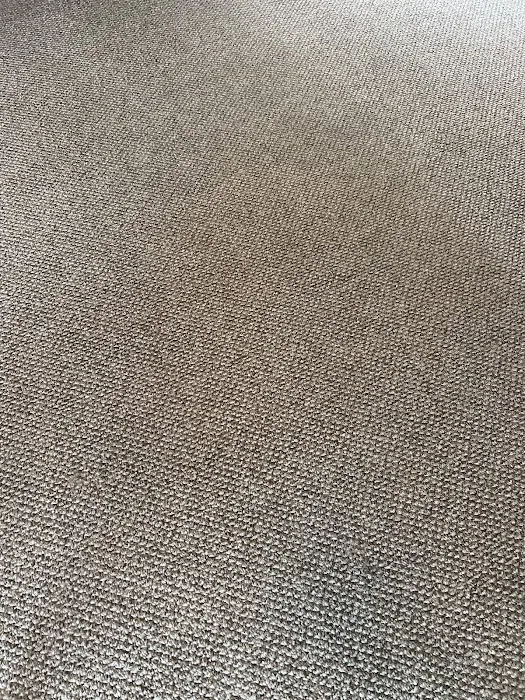 Stanley Steemer Picture 10