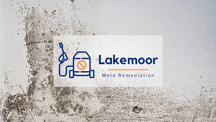 Lakemoor Mold Remediation Picture 10