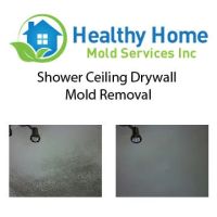 Healthy Home Mold Services Inc. ico