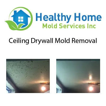 Healthy Home Mold Services Inc. Picture 2