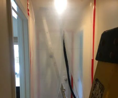 Woodstock Mold Removal INC.