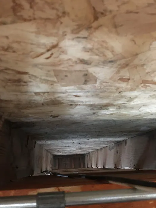 Woodstock Mold Removal INC. Picture 6