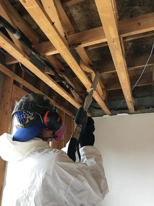 Woodstock Mold Removal INC. Picture 5