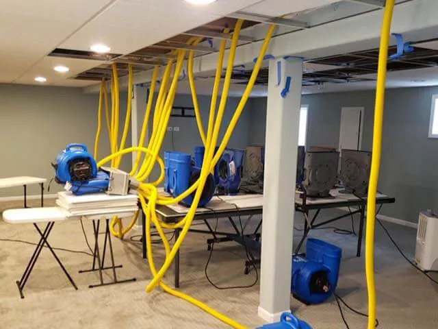 Pro-Cleaners Restoration & Cleaning Services Picture 4