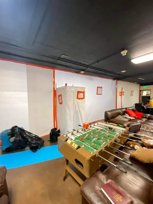 Remedy Pro Picture 1