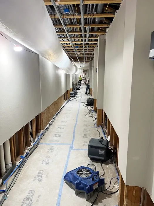 Remedy Pro Picture 8