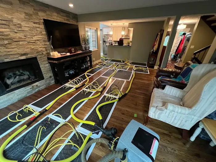 Remedy Pro Picture 6