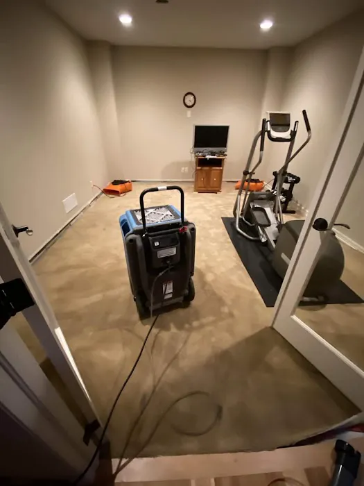 Remedy Pro Picture 3