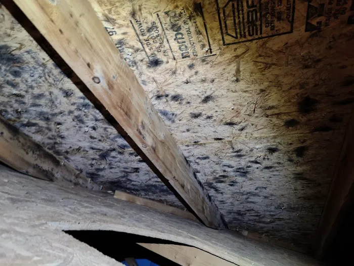 Remedy Pro Picture 4