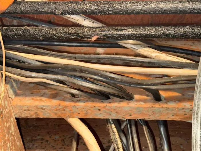 Remedy Pro Picture 9