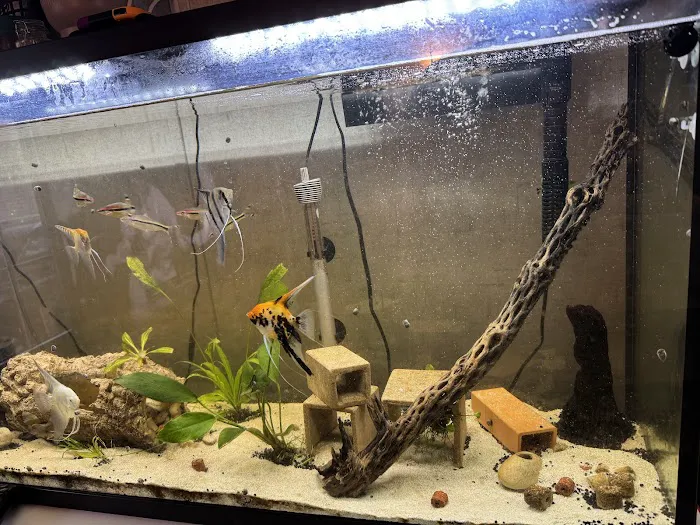 Restoration 1 of Grand Rapids Picture 3