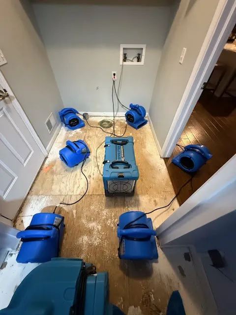 Riverside Restoration Picture 6