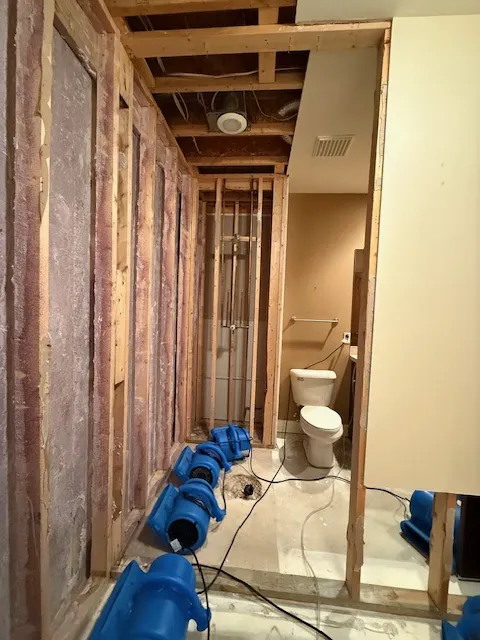 Riverside Restoration Picture 10