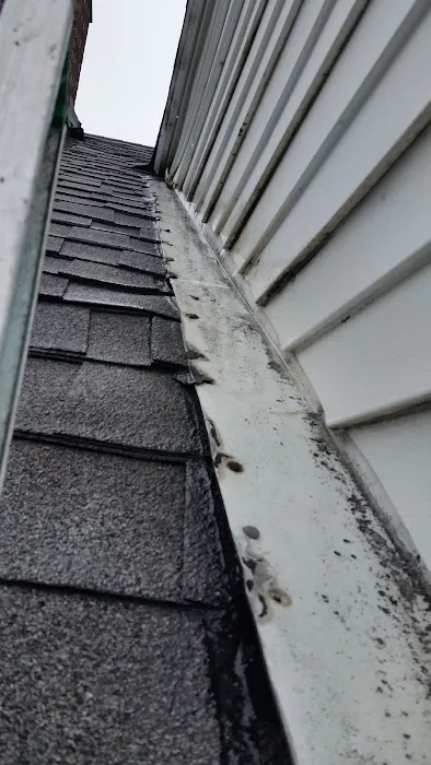 Construction Services of West Michigan Picture 5