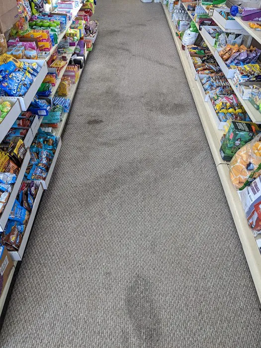 Lake Michigan Carpet Cleaning Picture 9