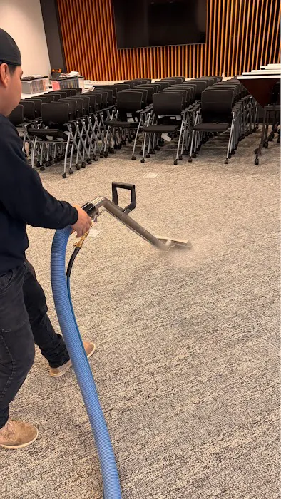 Lake Michigan Carpet Cleaning Picture 1