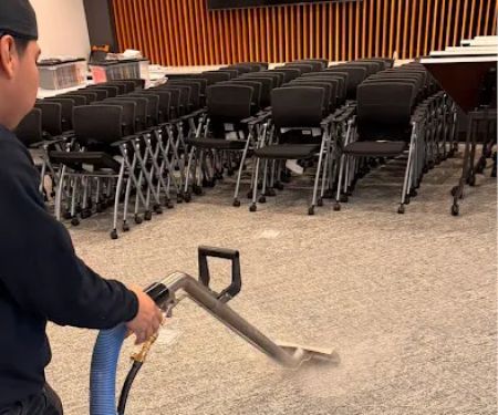 Lake Michigan Carpet Cleaning