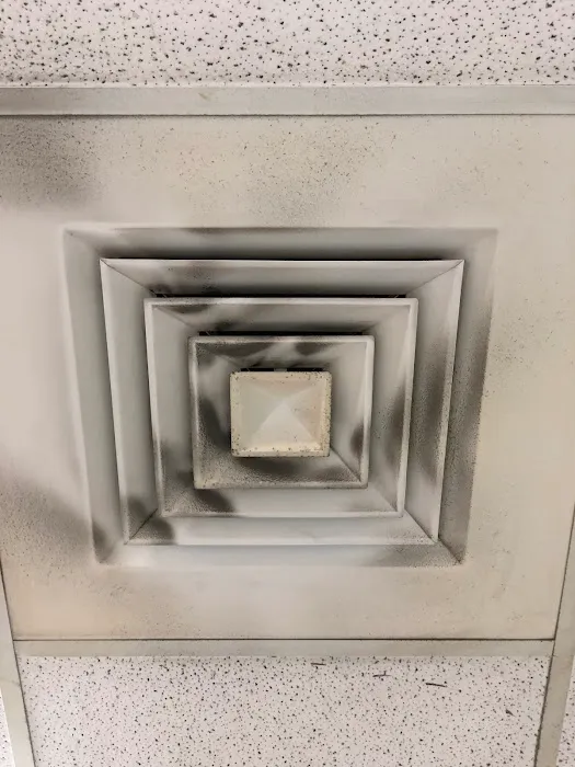 Lake Michigan Carpet Cleaning Picture 10