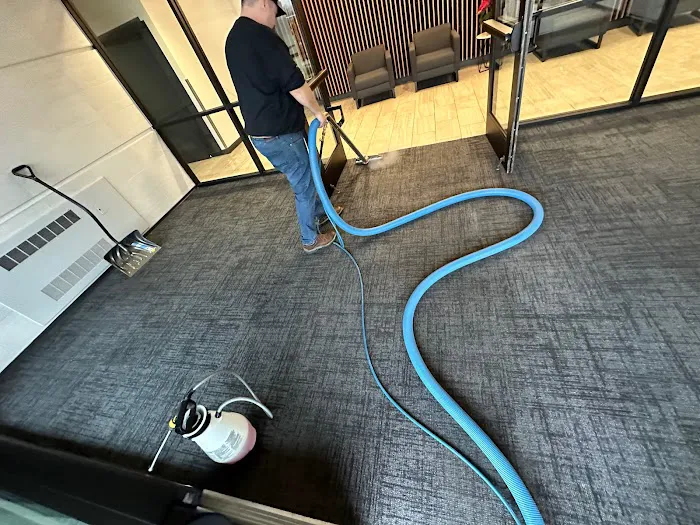 Lake Michigan Carpet Cleaning Picture 3