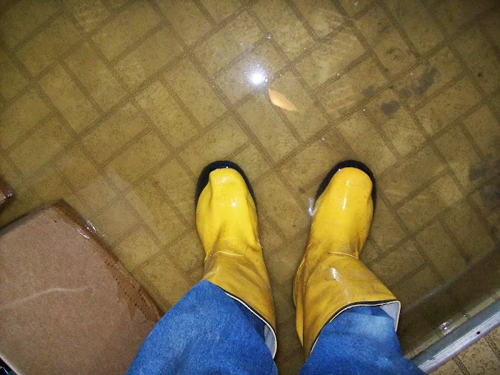 Jarvis Property Restoration Picture 3