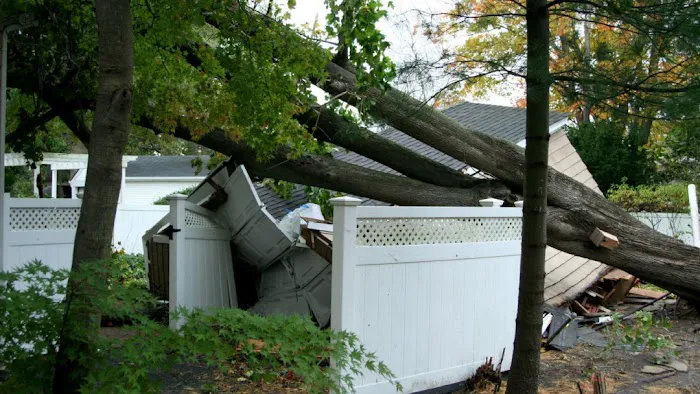 ProCare Restoration Services, Inc. Picture 6