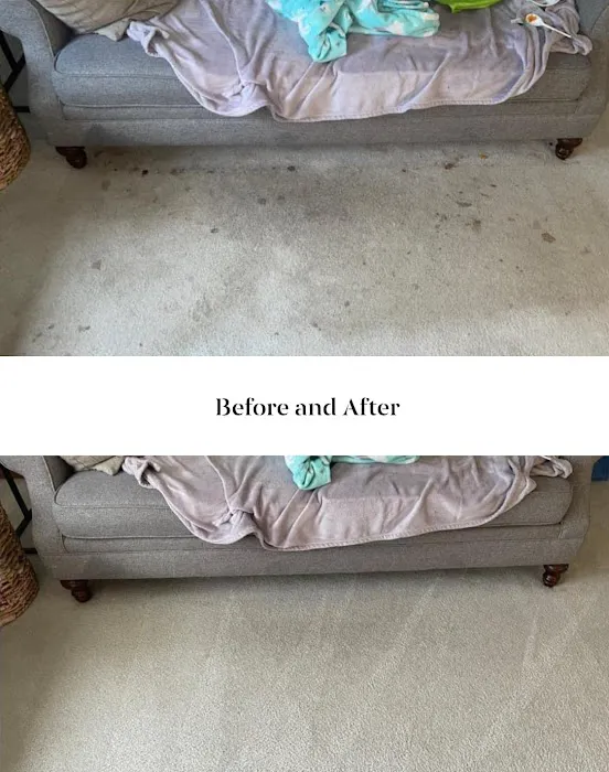 Lakeshore Janitorial Services LLC Picture 8