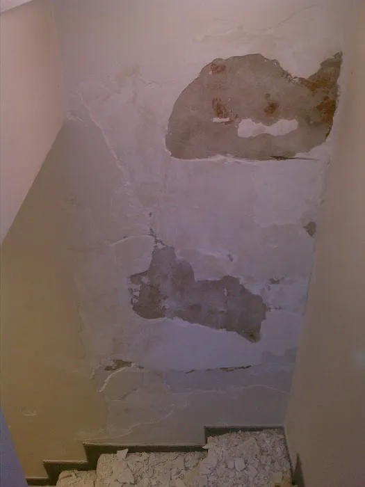 The WallDoctor Picture 1