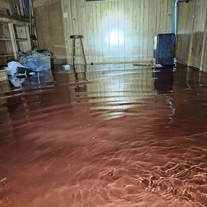 H2NO Mitigation & Restoration Picture 8