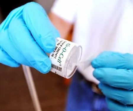 Healthy Home Mold Inspection