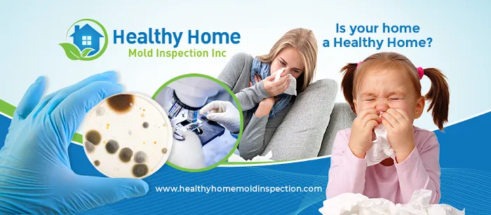 Healthy Home Mold Inspection Picture 8