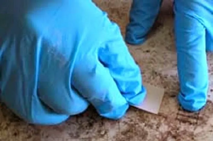 Healthy Home Mold Inspection Picture 7