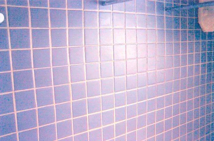 The Grout Experts Picture 8