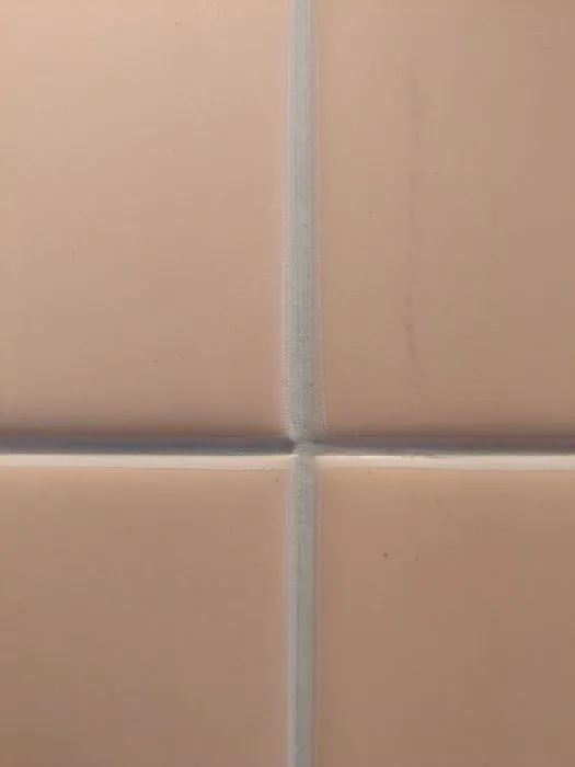 The Grout Experts Picture 2