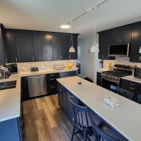 Odd Job Larry Inc ico