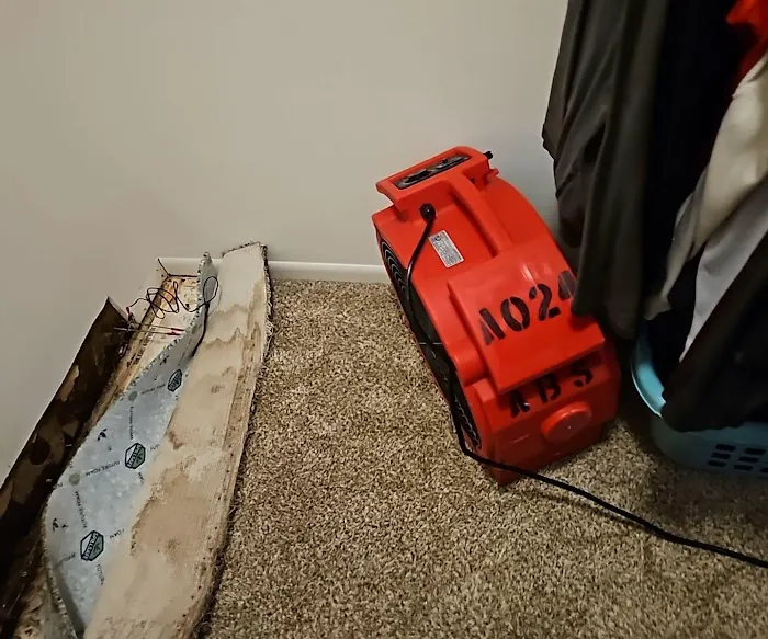 Absolute DKI Picture 10