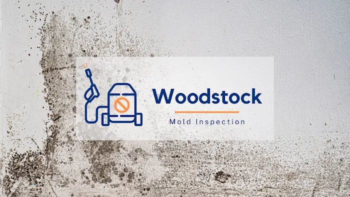 Woodstock Mold Inspection Picture 4